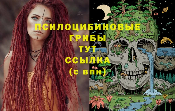 мяу мяу мука Корсаков