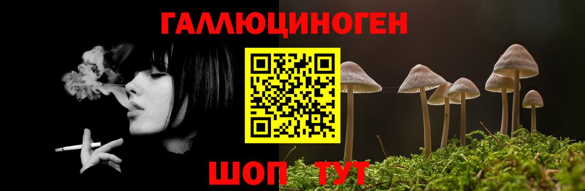 Галлюциногенные грибы MAGIC MUSHROOMS Урус-Мартан